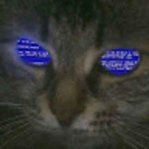 Meet your Posher, Liam